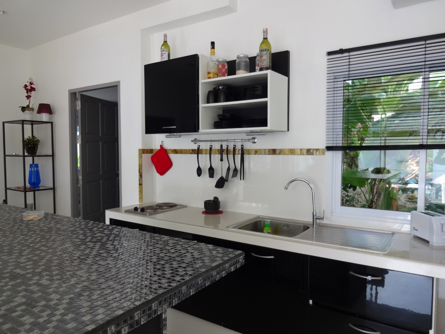 Kitchen worktop with sink, hobs and, suspended furniture for dishes, various accessories
